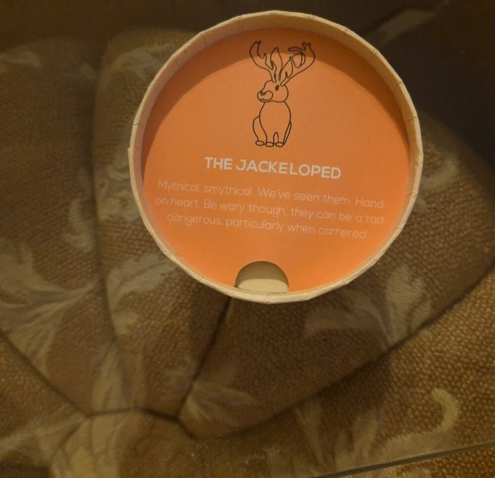 The JACKELOPED BROOCH - Picture 2 of 3